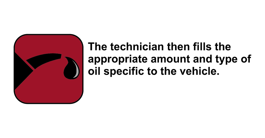 Oil and Filter Change